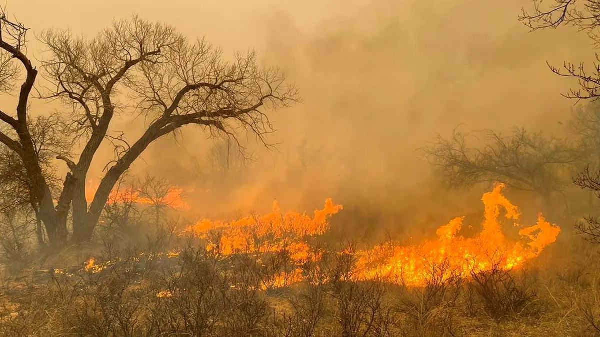 “Inferno’s Fury: Texas Panhandle Residents Grapple with Massive Wildfire Losses”